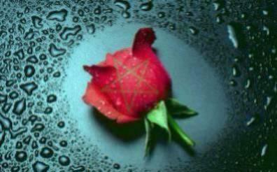 asmaa